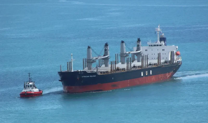 AFRICAN PELICAN Bulk Carrier IMO 9692789