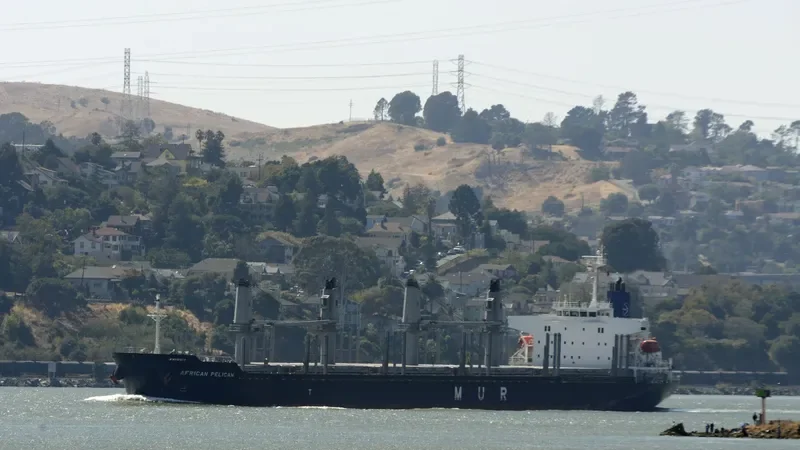 AFRICAN PELICAN Bulk Carrier IMO 9692789 photo 3