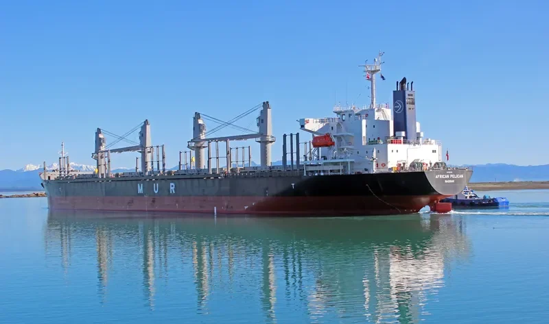 AFRICAN PELICAN Bulk Carrier IMO 9692789 photo 7