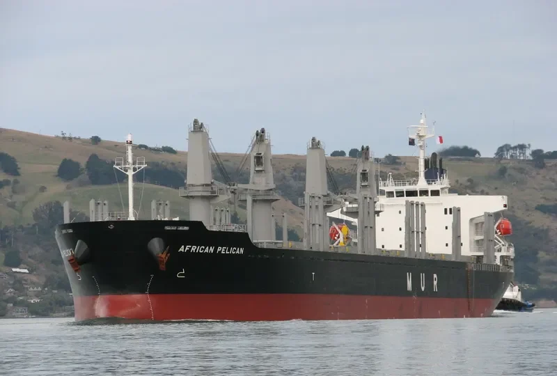 AFRICAN PELICAN Bulk Carrier IMO 9692789 photo 9