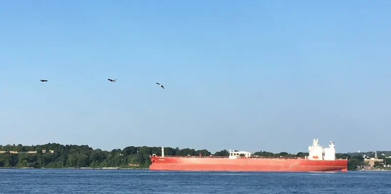 YPAPANTI Tanker IMO 9693082 photo 9