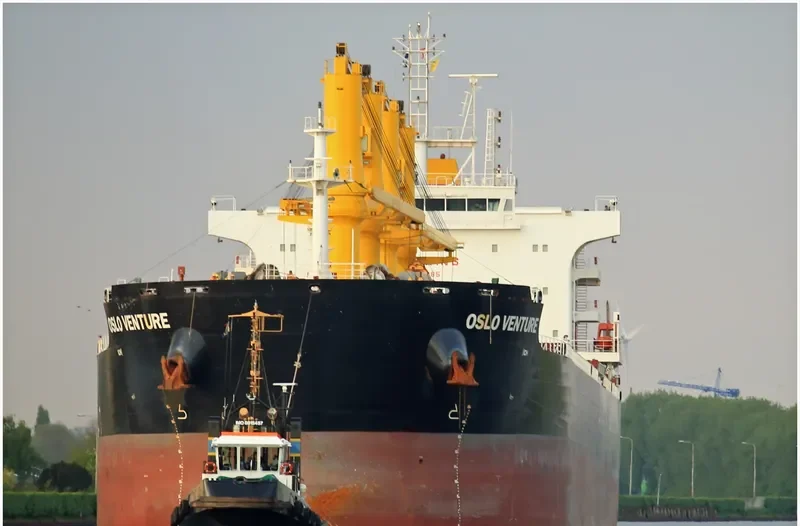 OSLO VENTURE Bulk Carrier IMO 9693185 photo 9