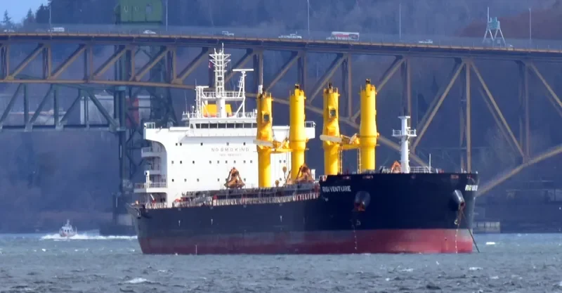 RIGI VENTURE Bulk Carrier IMO 9693197 photo 3