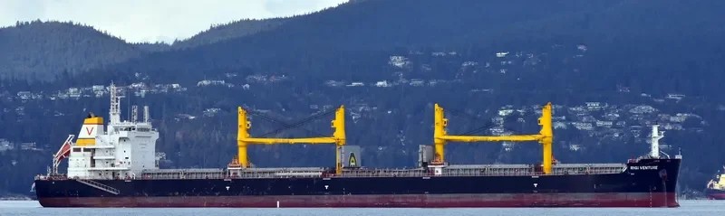 RIGI VENTURE Bulk Carrier IMO 9693197 photo 5