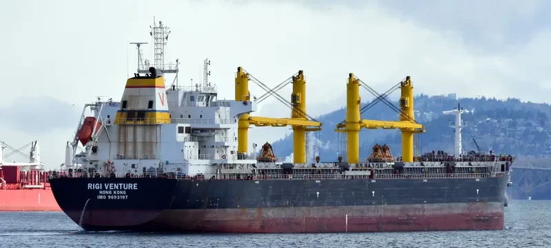 RIGI VENTURE Bulk Carrier IMO 9693197 photo 7