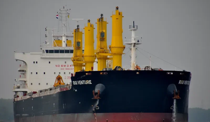 RIGI VENTURE Bulk Carrier IMO 9693197 photo 10