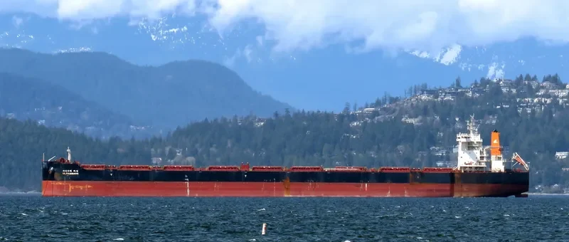 HL PASSION Bulk Carrier IMO 9693563 photo 10