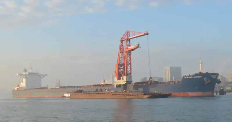 GOLDEN AMREEN Bulk Carrier IMO 9696058 photo 2