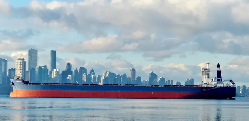 GOLDEN AMREEN Bulk Carrier IMO 9696058 photo 3