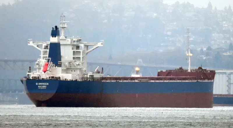 GOLDEN AMREEN Bulk Carrier IMO 9696058 photo 5