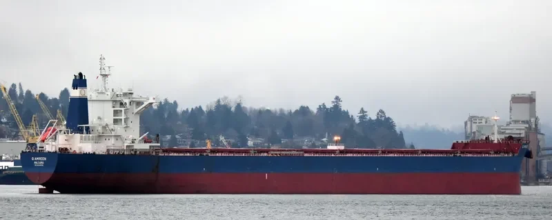 GOLDEN AMREEN Bulk Carrier IMO 9696058 photo 6