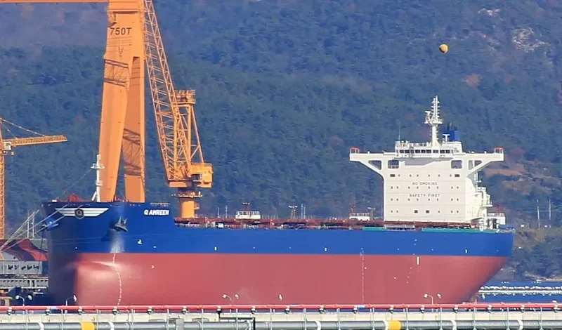 GOLDEN AMREEN Bulk Carrier IMO 9696058 photo 10