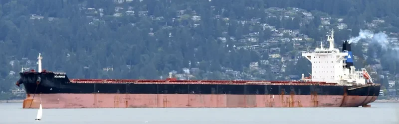 IOANNIS Bulk Carrier IMO 9696096 photo 3