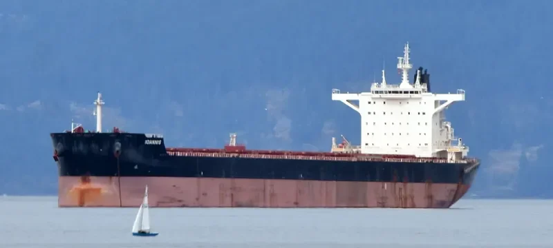 IOANNIS Bulk Carrier IMO 9696096 photo 4