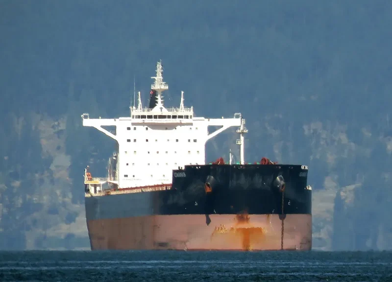 IOANNIS Bulk Carrier IMO 9696096 photo 7