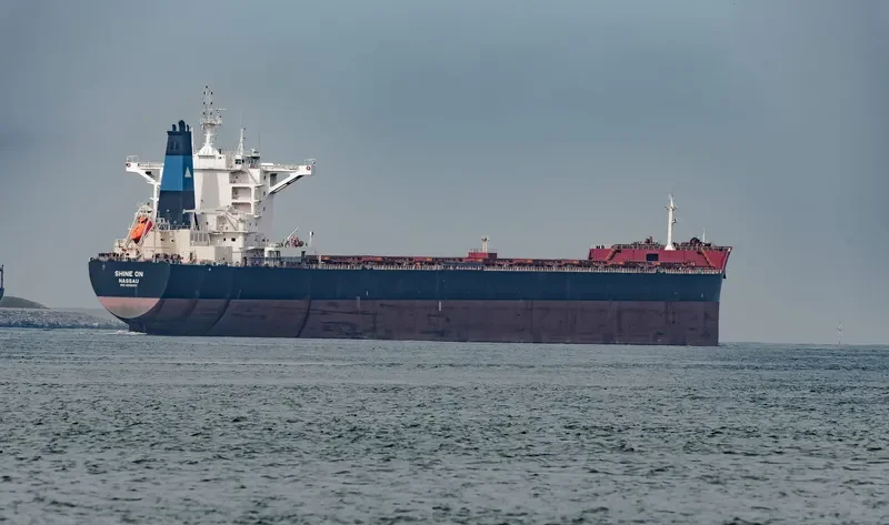 SHINE ON Bulk Carrier IMO 9696101