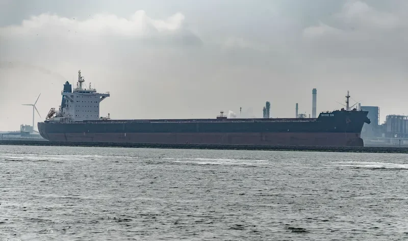 SHINE ON Bulk Carrier IMO 9696101 photo 3