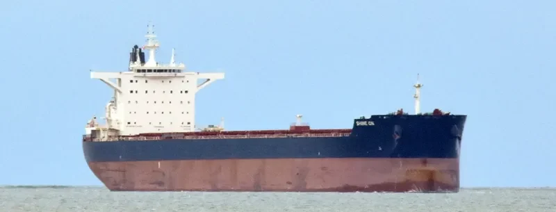 SHINE ON Bulk Carrier IMO 9696101 photo 8