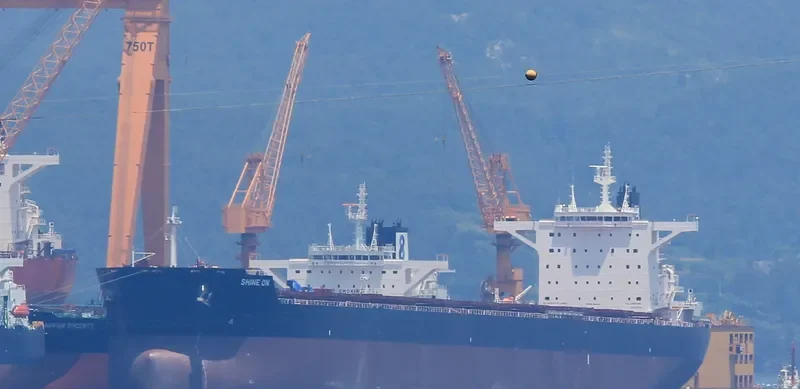 SHINE ON Bulk Carrier IMO 9696101 photo 10