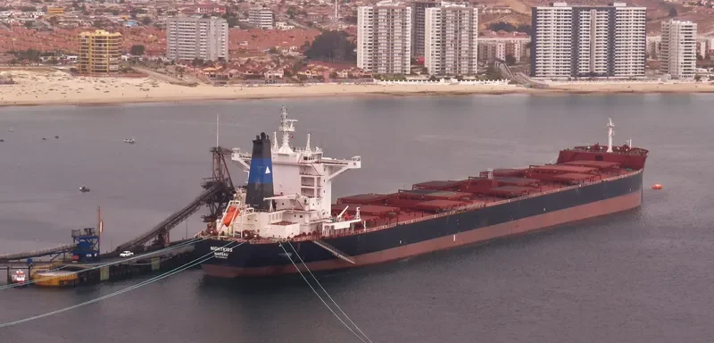 NIGHTKISS Bulk Carrier IMO 9696113 photo 3