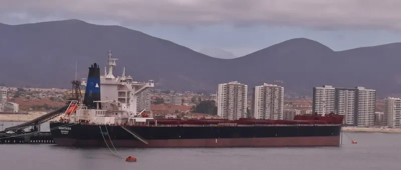 NIGHTKISS Bulk Carrier IMO 9696113 photo 4