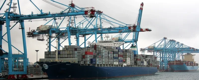 DALI Container Ship IMO 9697428 photo 5