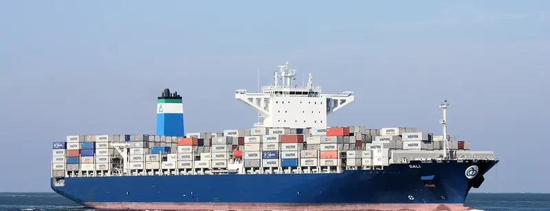 DALI Container Ship IMO 9697428 photo 28