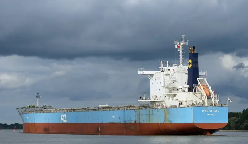 IKAN KERAPU Bulk Carrier IMO 9697959 photo 7
