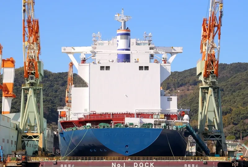 OCEANIC BREEZE General Cargo IMO 9698111 photo 4