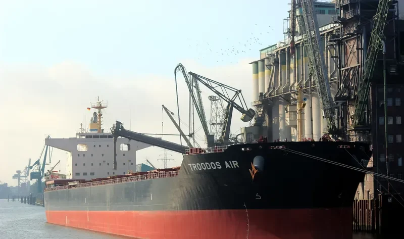 TROODOS AIR Bulk Carrier IMO 9698226 photo 2