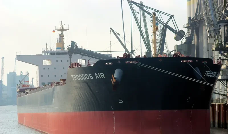 TROODOS AIR Bulk Carrier IMO 9698226 photo 3