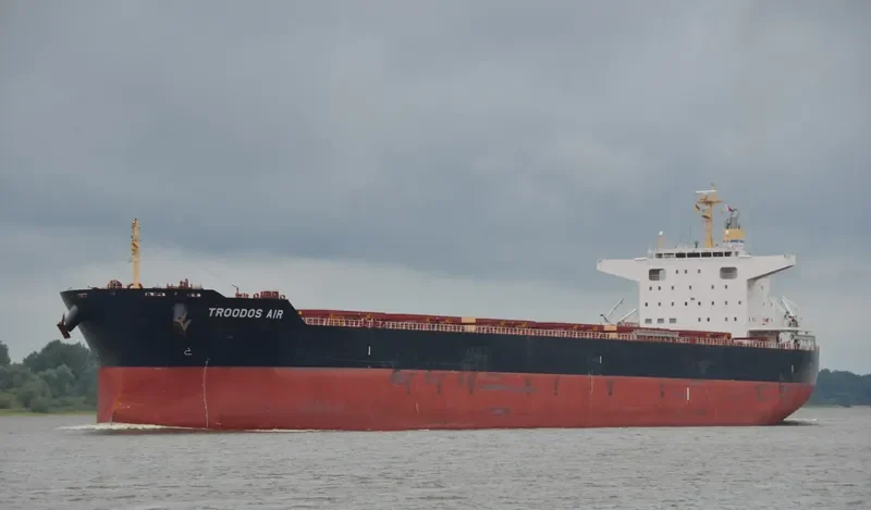 TROODOS AIR Bulk Carrier IMO 9698226 photo 5
