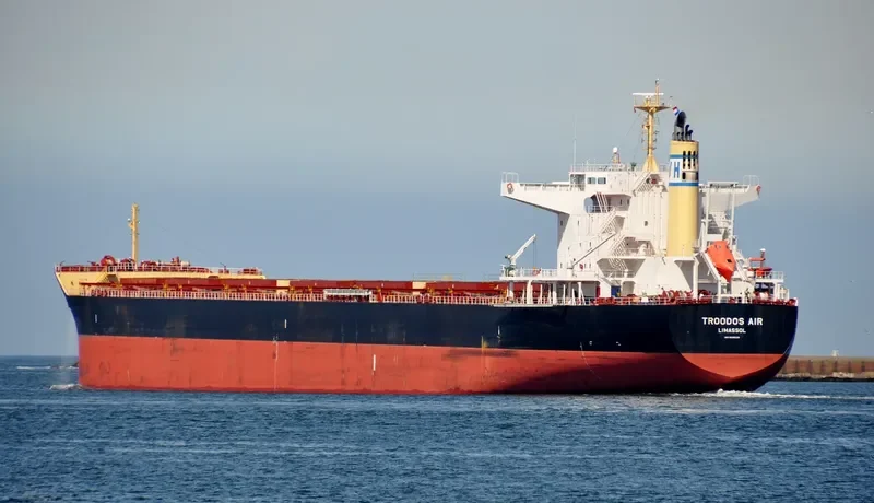 TROODOS AIR Bulk Carrier IMO 9698226 photo 7