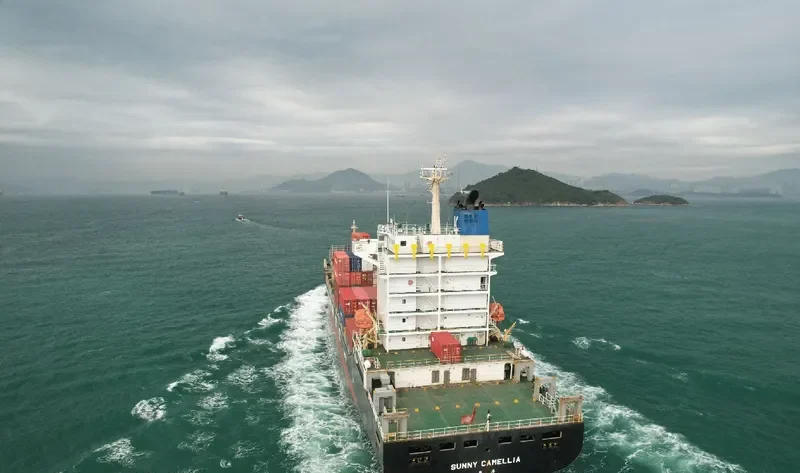 SUNNY CAMELLIA Container Ship IMO 9698393 photo 3