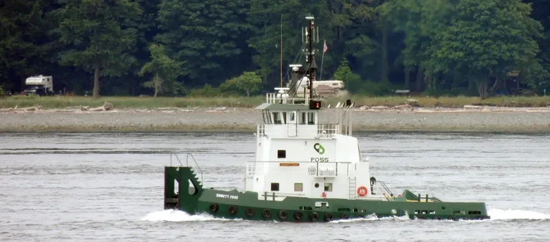 BRISTOL WIND General Cargo IMO 9698460 photo 3