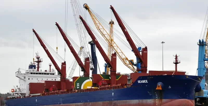 SEABEE Bulk Carrier IMO 9698941 photo 2
