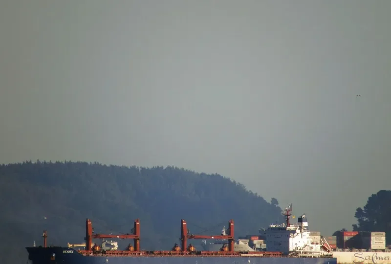 SEABEE Bulk Carrier IMO 9698941 photo 5