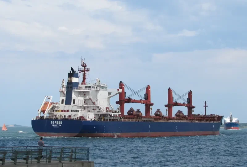 SEABEE Bulk Carrier IMO 9698941 photo 6