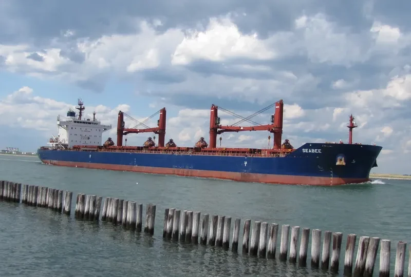 SEABEE Bulk Carrier IMO 9698941 photo 7