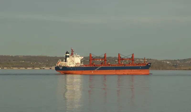 SEABEE Bulk Carrier IMO 9698941 photo 8