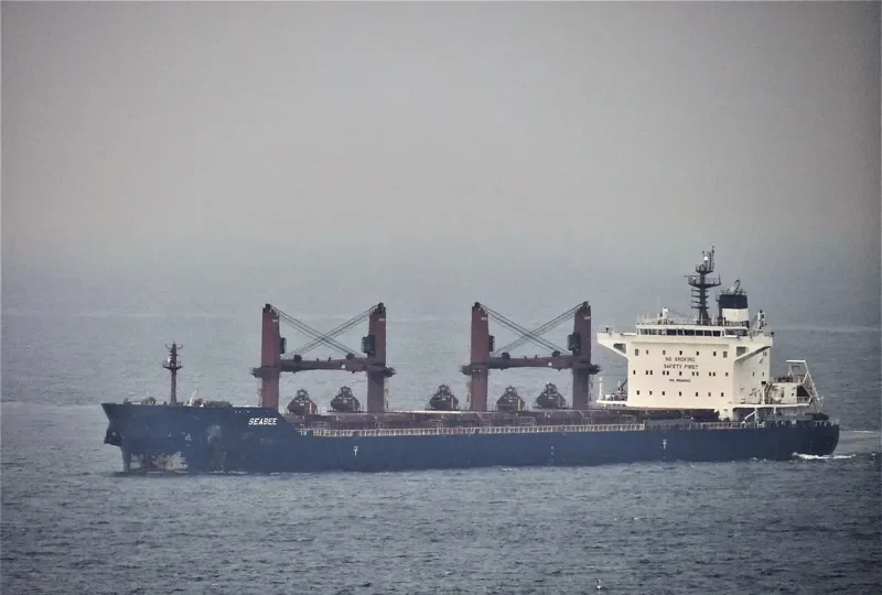 SEABEE Bulk Carrier IMO 9698941 photo 9