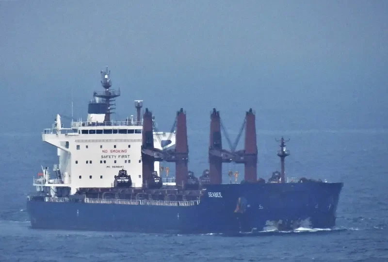 SEABEE Bulk Carrier IMO 9698941 photo 10