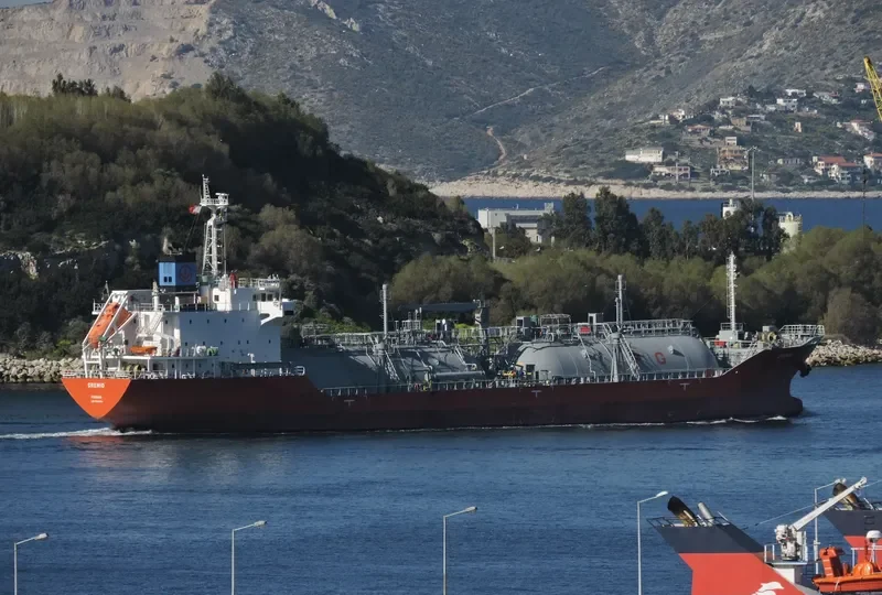 GREMIO General Cargo IMO 9699256 photo 8