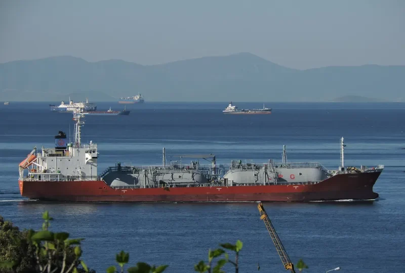 GREMIO General Cargo IMO 9699256 photo 14