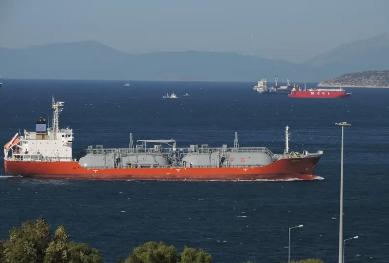 GREMIO General Cargo IMO 9699256 photo 29