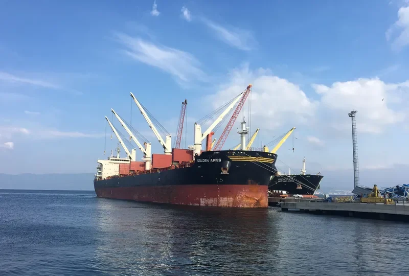 SBI ARIES Bulk Carrier IMO 9699270