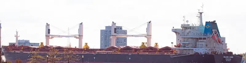 SBI ARIES Bulk Carrier IMO 9699270 photo 4