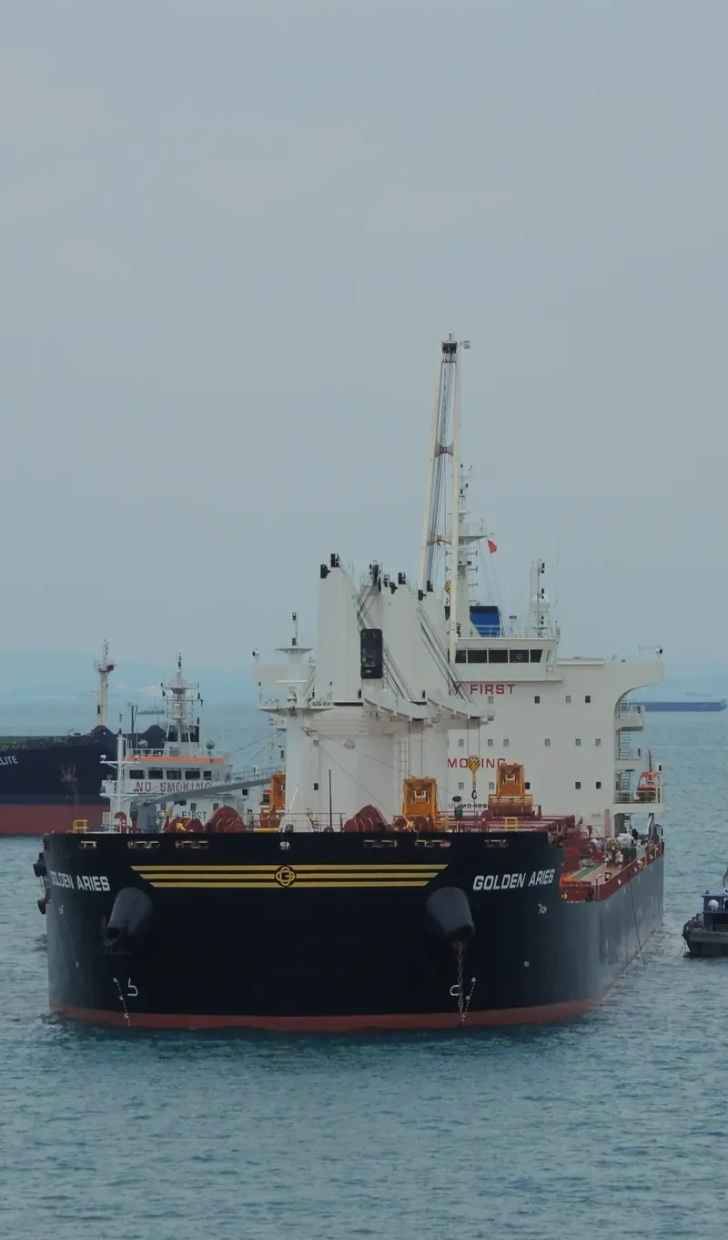 SBI ARIES Bulk Carrier IMO 9699270 photo 6