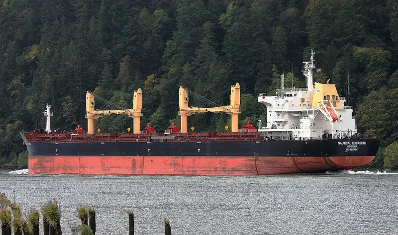 SANTOS EAGLE Bulk Carrier IMO 9699347 photo 3