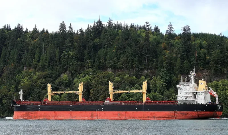 SANTOS EAGLE Bulk Carrier IMO 9699347 photo 4